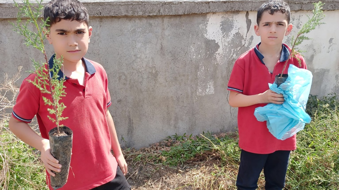 HER ÇOCUK BİR FİDAN İLK DERS YEŞİL VATAN